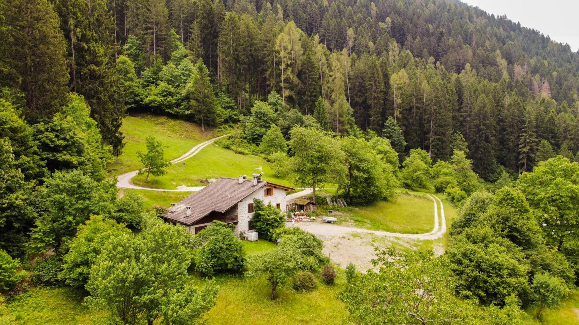 Luxury Chalet Dolomiti-Campiglio-Trentino Porte di Rendena Eksteriør billede